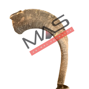 keçi boynuz keçi boynuz